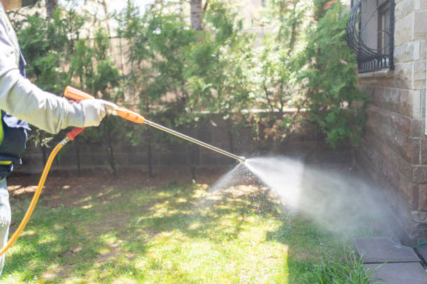 Best Seasonal Pest Control  in Lorton, VA